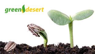 Logo Green Desert